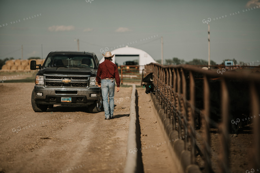 Feedyard 3034