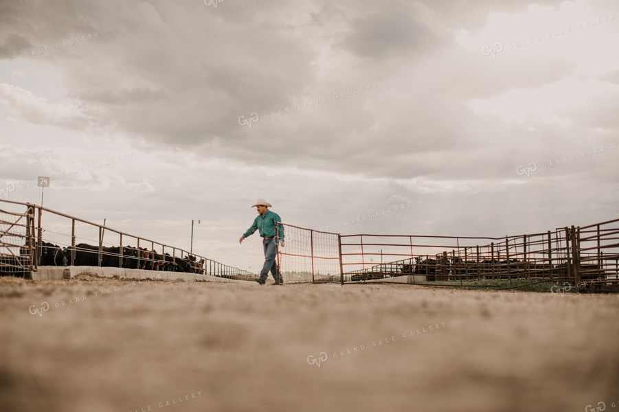 Feedyard 3048