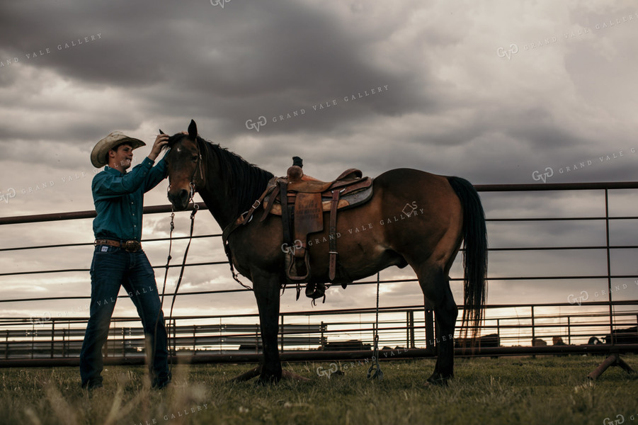 Feedyard 3061