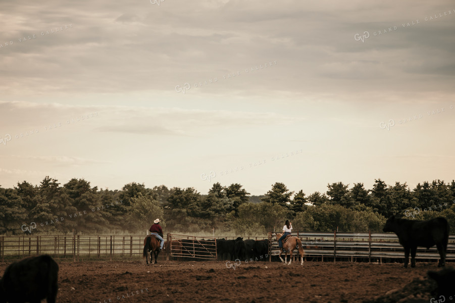 Feedyard 3072