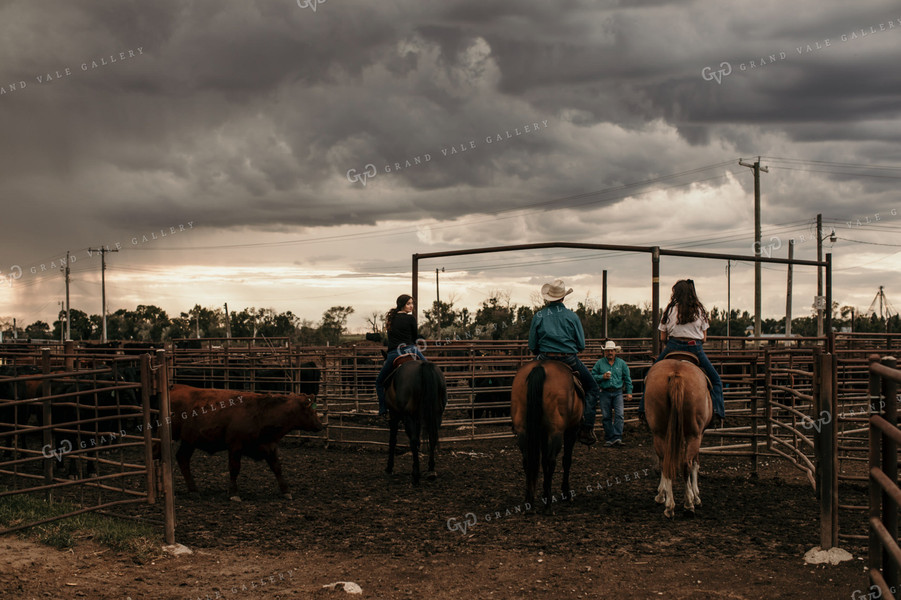 Feedyard 3089