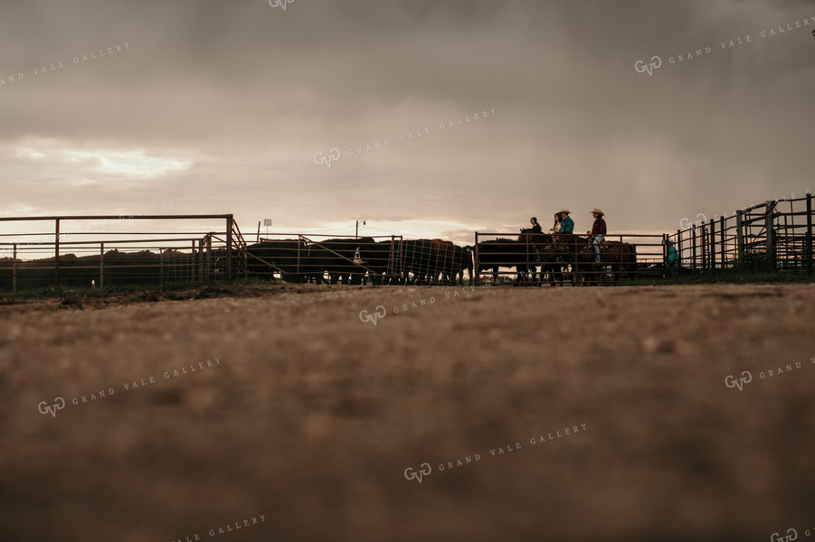 Feedyard 3092