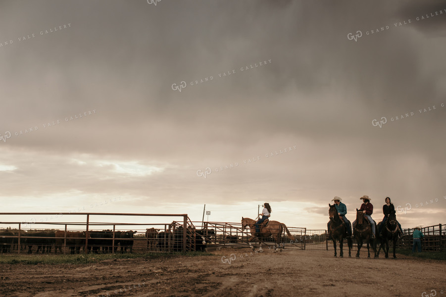 Feedyard 3094