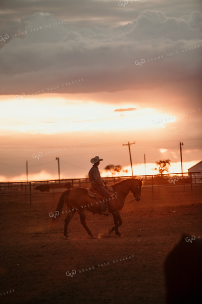 Feedyard 3122