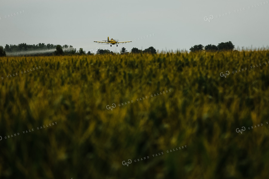 Crop Duster Corn Field 3138