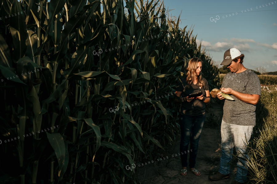 Farmer and Agronomist Corn Yield Estimate 3162