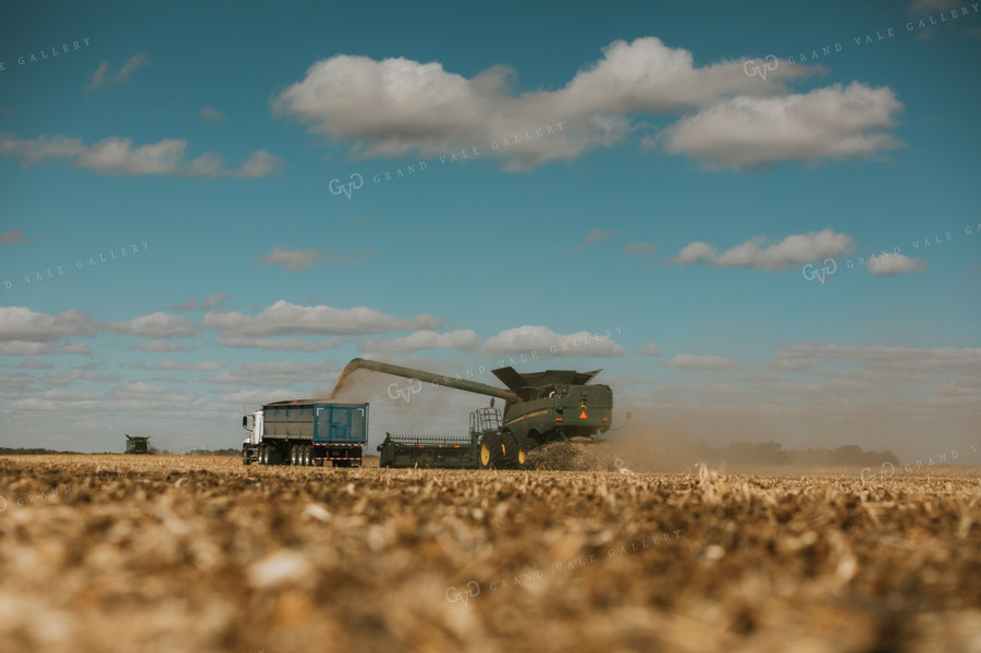 Combine Harvesting Beans and Unloading onto Truck 3287