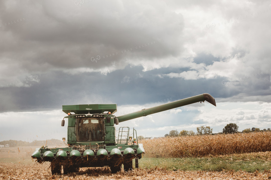 Combine Driving through Corn Field 3348