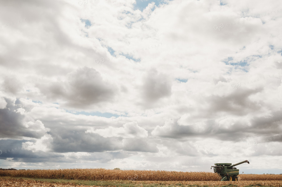 Combine Picking Corn under Cloudy Sky 3363