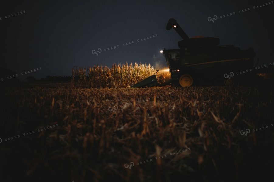 Combine Picking Corn with Lights On at Dusk 3409