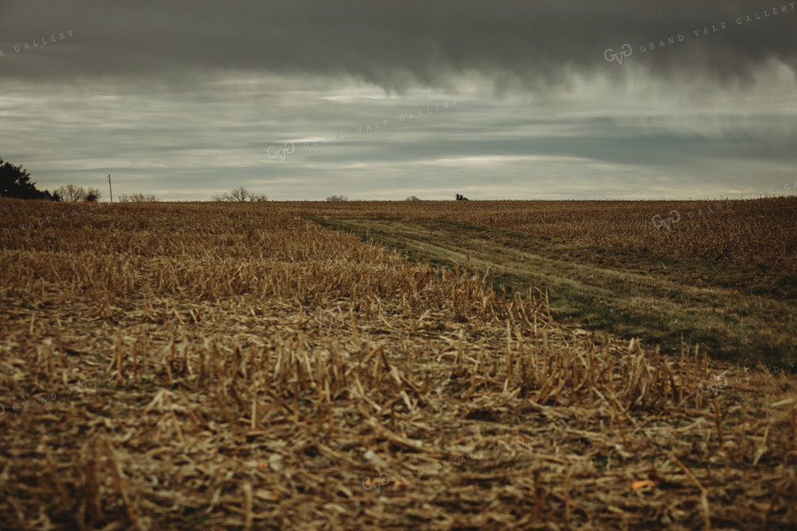 Harvested Corn Field and Storm Clouds 3653