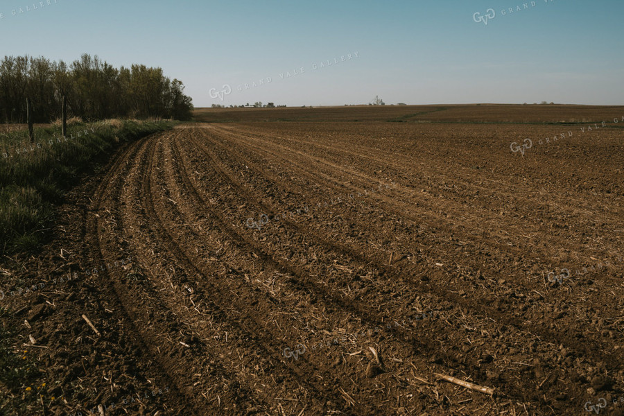 Freshly Planted End Rows 3998