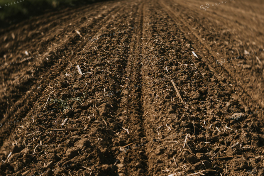 Freshly Planted End Rows 4001