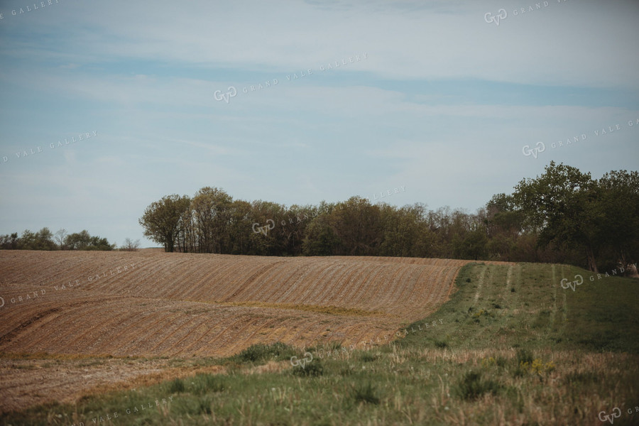 No Till Field 4018