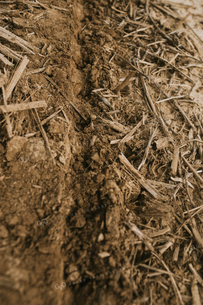 Planter Furrow on No-Till Ground 4027