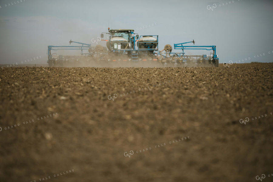 Planting on a Sunny Day 4133