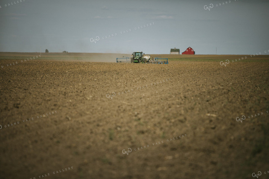 Planting on a Sunny Day 4138