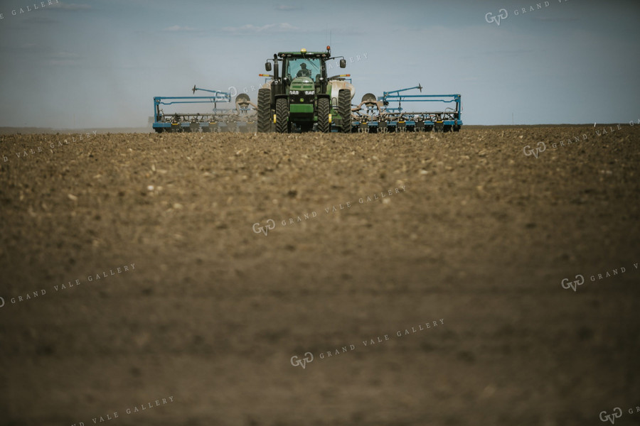 Planting on a Sunny Day 4141