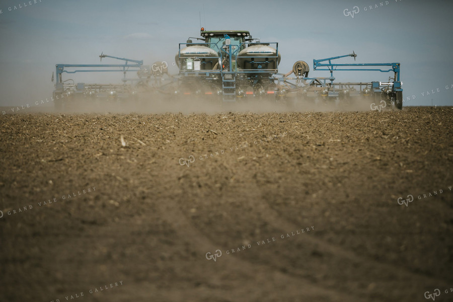 Planting on a Sunny Day 4148