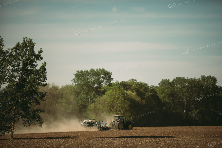 Planting on a Sunny Day 4161