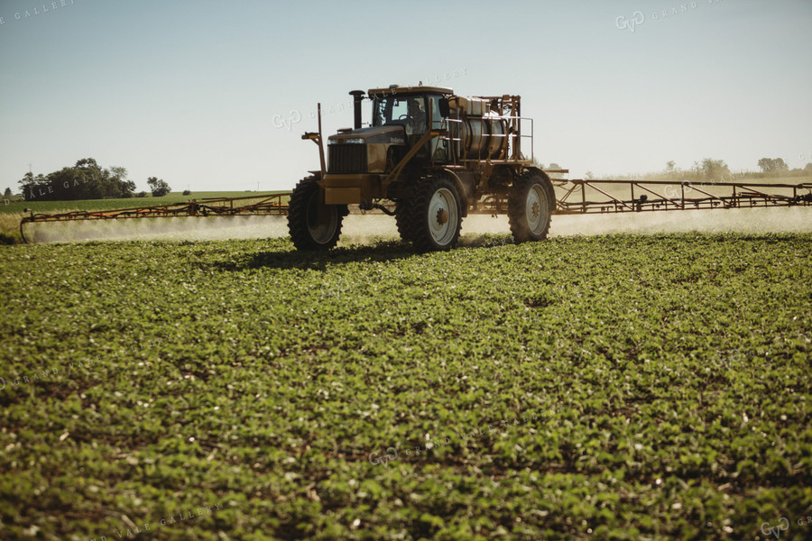 Spraying Soybeans 4356