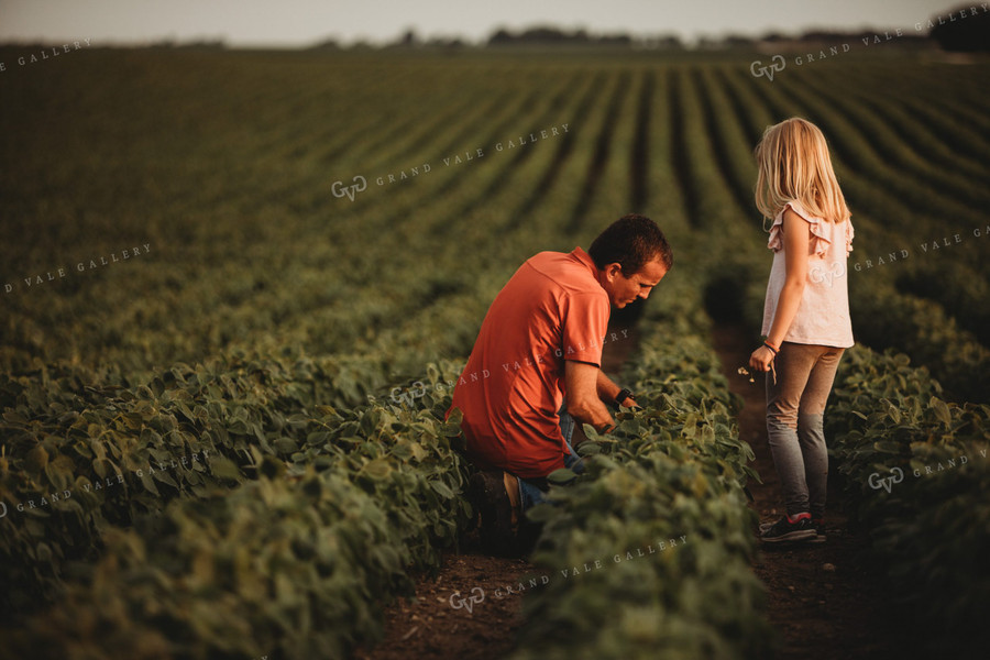 Farmer and Farm Kid Checking Crops in Soybean Field 4582