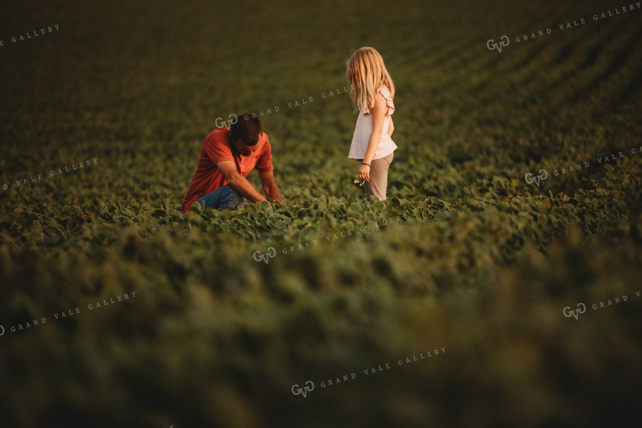 Farmer and Farm Kid Checking Crops in Soybean Field 4587