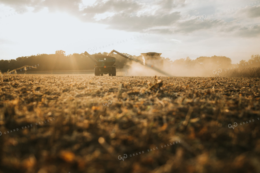 Combine Unloading into Grain Cart 4844