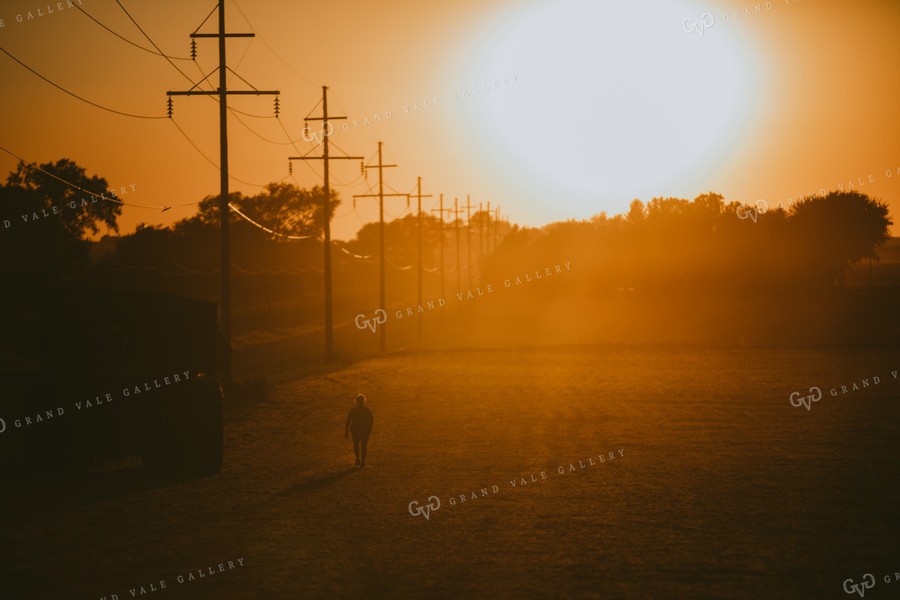 Farmer Walking from Tractor to Truck in Soybean Field Silhouette 4755