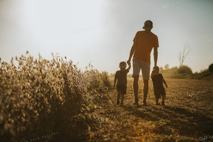 Farmer and Son Walking Along Half Harvested Soybean Field 4788