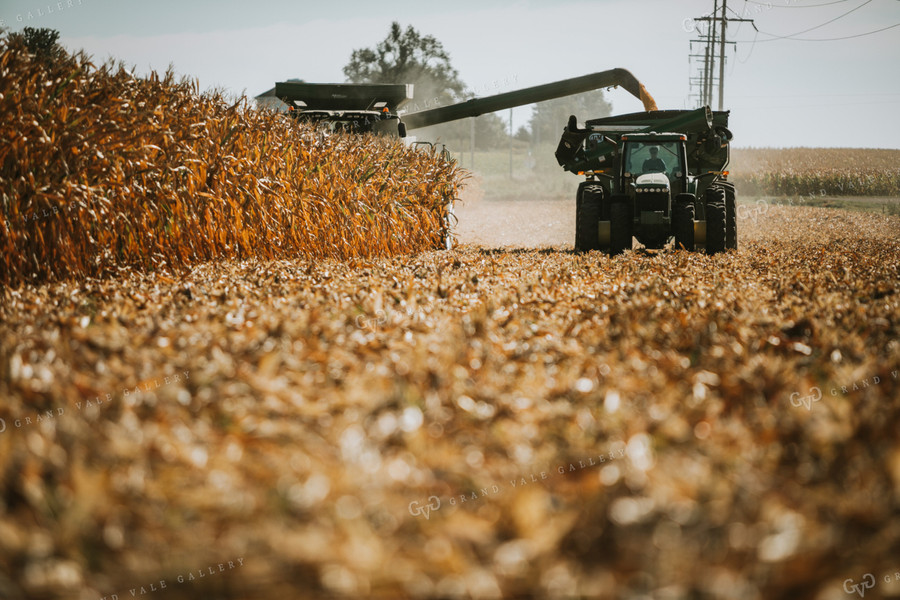 Combine Unloading Corn into Grain Cart 4683