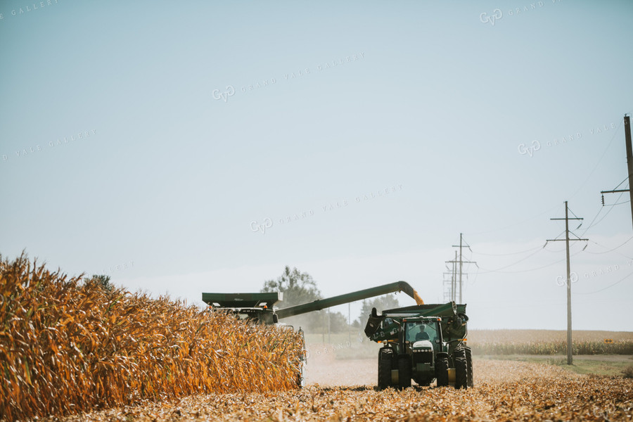 Combine Unloading Corn into Grain Cart 4684