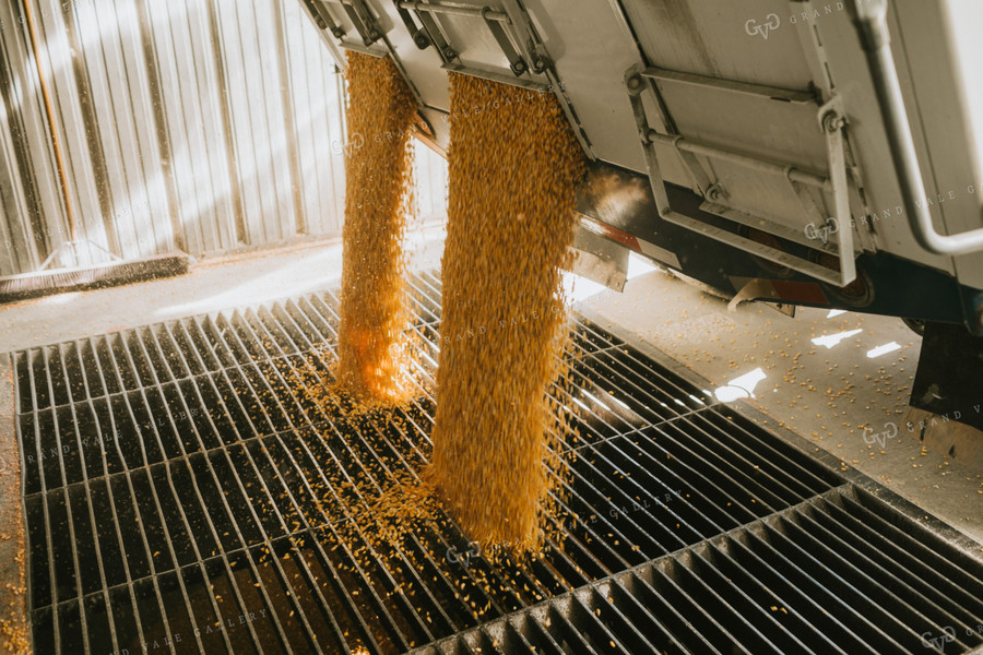 Truck Unloading Corn into Pit at Elevator 4714
