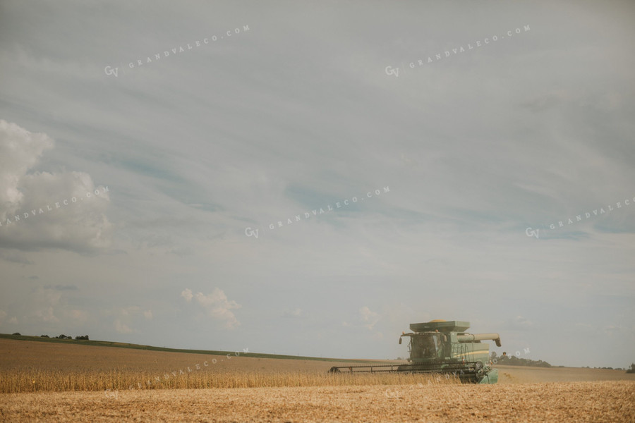 Combine Harvesting Soybean Field 5239