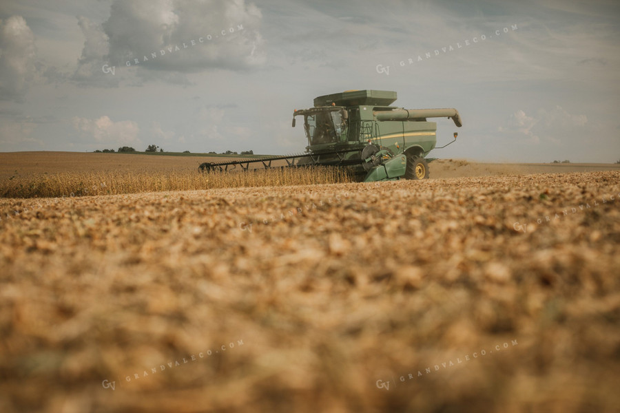 Combine Harvesting Soybean Field 5241