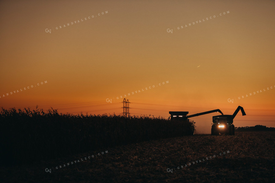 Combine and Auger Cart Harvesting Corn Field 5247