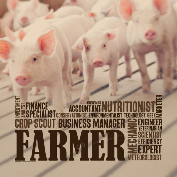 Farmer - Pigs 1008