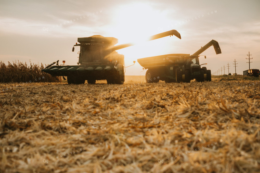 Combine and Auger Cart Harvesting Corn Field 5262