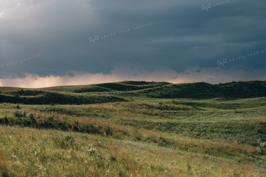 Sand Hills Pasture 53018