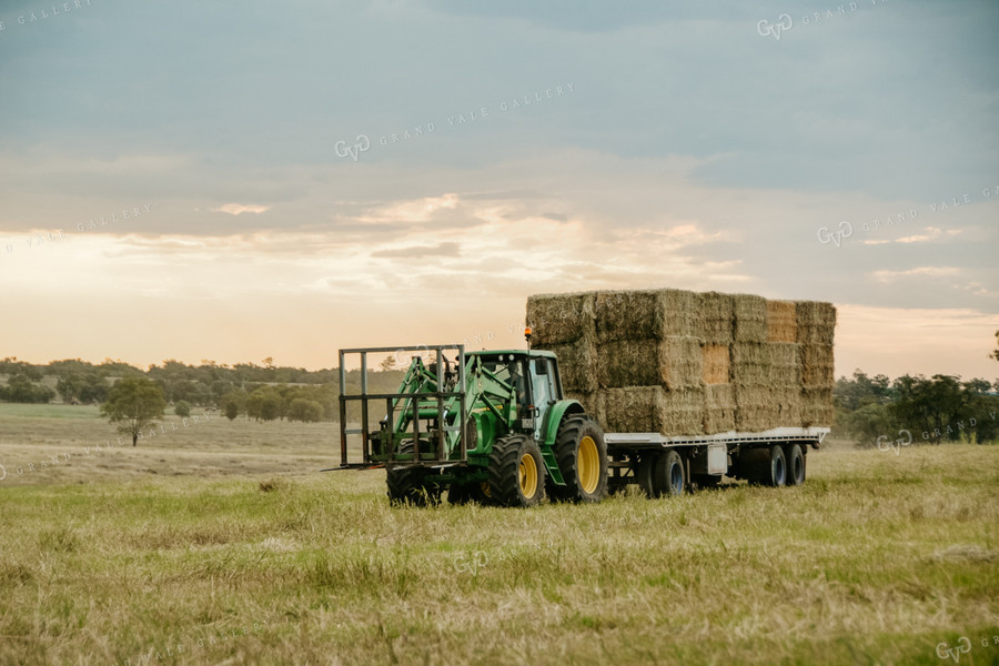 Baling Hay 64109