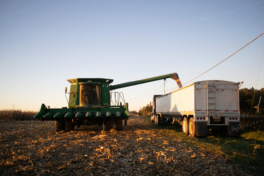 Combine Loading Semi with Soybeans 50009