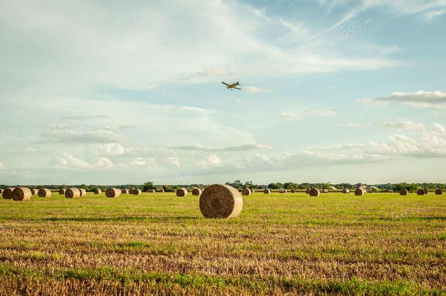 Round Hay Bale Landscape with Crop Duster Flying Overhead 59005