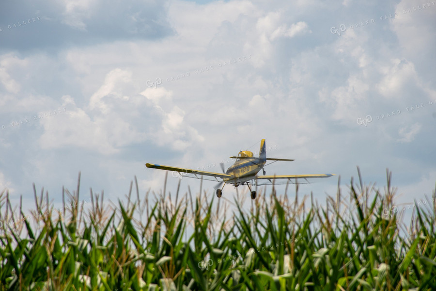 Crop Duster Spraying Corn 50148