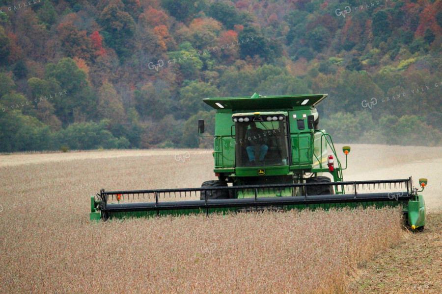 Harvesting Soybeans 52080