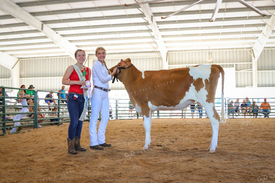 4H Kid Showing Dairy 52211