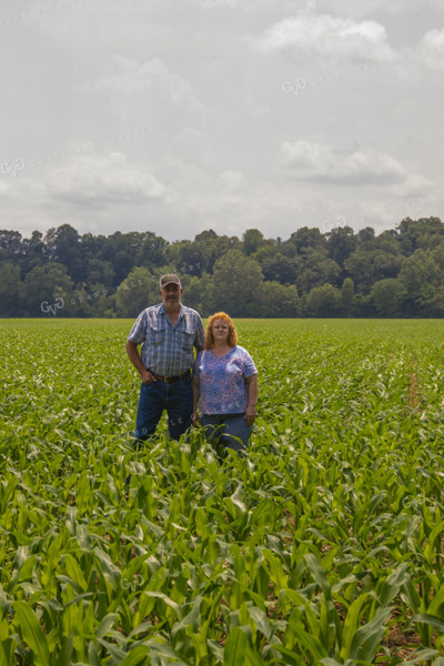 Farmers in Corn Field 52216