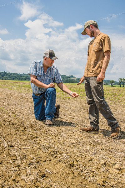 Farmers in Soybean Field 52224