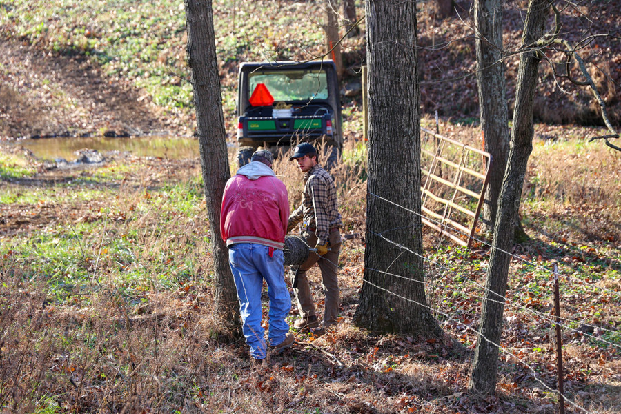 Farmers Putting up Fence for Cattle 52270