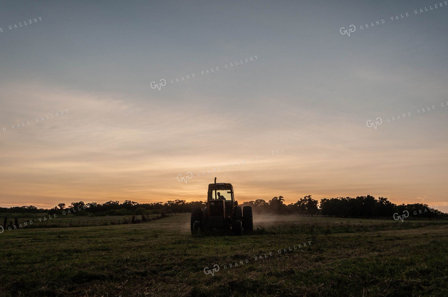 Mowing Silhouette 59043