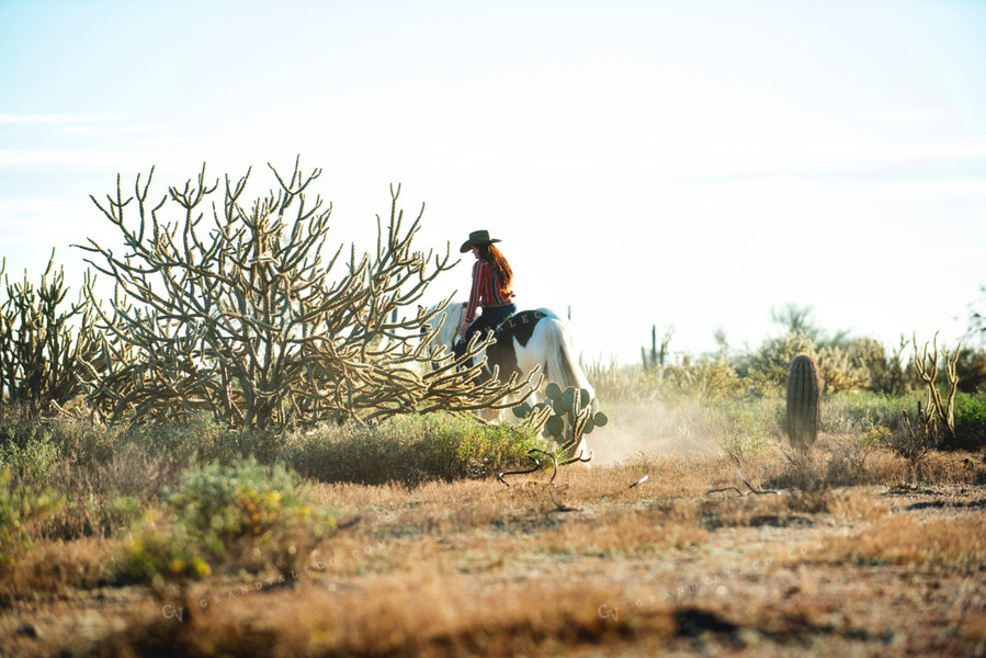 Rancher on Horseback 69026